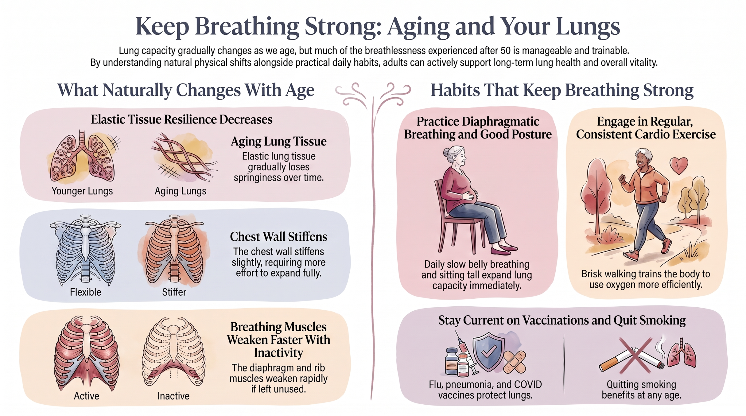 Two-column infographic comparing what naturally changes in the lungs with age against the daily habits that keep breathing strong